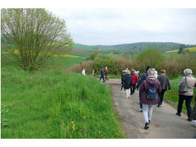 Bittprozession an der Weingartenkapelle (Foto: Karl-Franz Thiede)